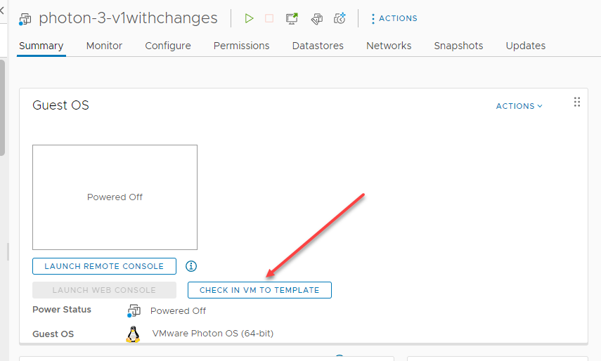 Check In VM to Template