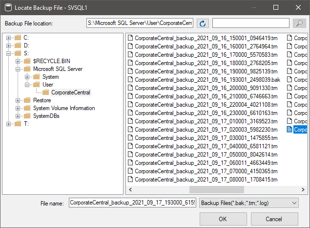 Select backup devices window, make sure that it selected File for the media type, then click Add