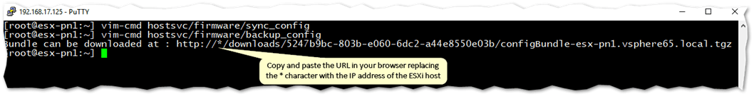 Using vim-cmd from the ESXi command line to start the esxi backup configuration