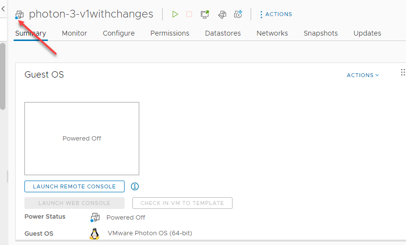 Viewing the checked-out VM template as a virtual machine in vSphere inventory
