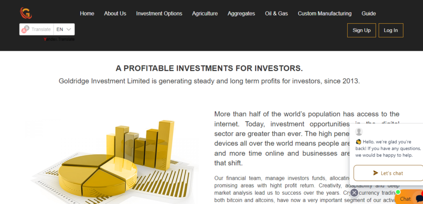 Goldridge Investment Limited Review